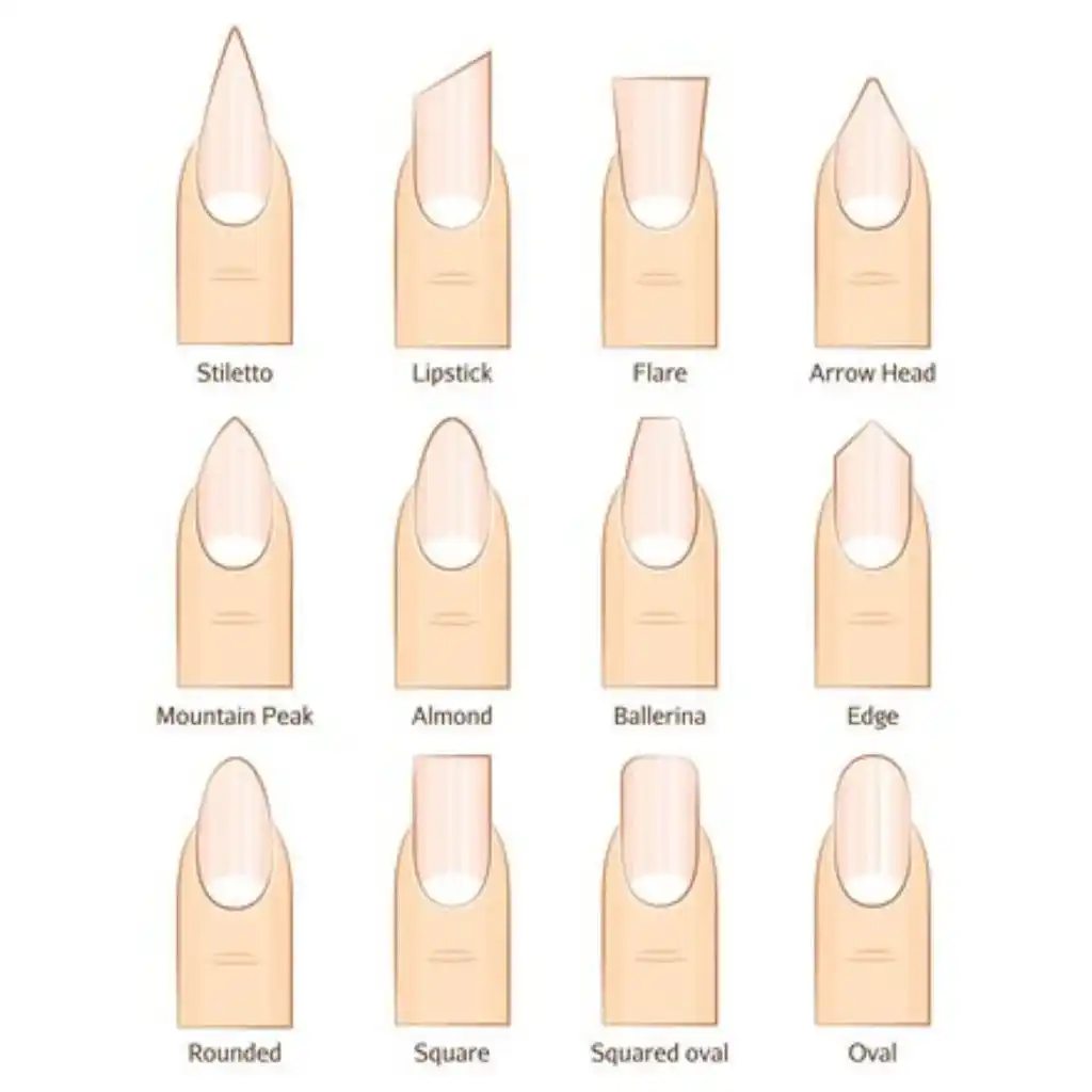 Chart for Nail Shapes